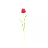 EUROPALMS Kristalltulpe dirbtinė tulpė, raudona, 61cm, 12 vnt. paketas 82600205