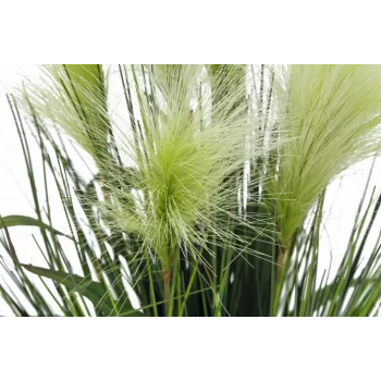 EUROPALMS Feather Grass dirbtinis augalas, baltas, 60cm 82505864