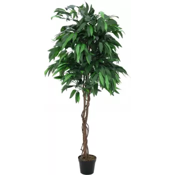 EUROPALMS dirbtinis mangų džiunglių medis, 180 cm, tikro medžio kamienas, tekstilinės lapai, cementinė vaza 82506726
