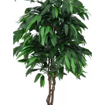 EUROPALMS dirbtinis mangų džiunglių medis, 180 cm, tikro medžio kamienas, tekstilinės lapai, cementinė vaza 82506726