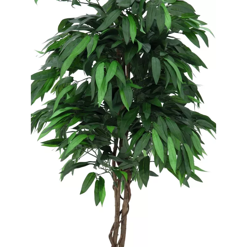 EUROPALMS dirbtinis mangų džiunglių medis, 180 cm 82506726