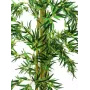 EUROPALMS Dirbtinis bambukas, daugiakotis augalas, 150 cm, 82509235