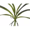 EUROPALMS dirbtinis orchidėjos lapas (EVA), žalias, 45cm 82530574