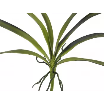EUROPALMS dirbtinis orchidėjos lapas (EVA), žalias, 45cm 82530574