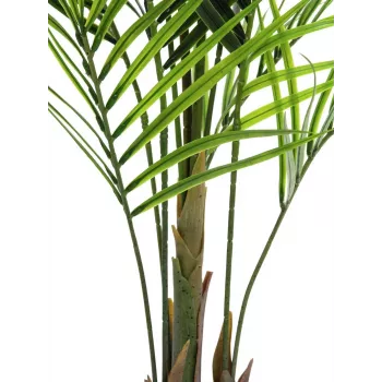 EUROPALMS didelio lapo Areca dirbtinis augalas, 165cm 82509441