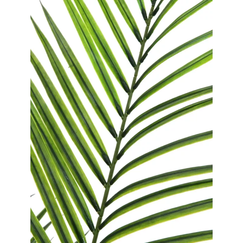 EUROPALMS didelio lapo Areca dirbtinis augalas, 165cm 82509441