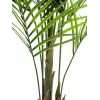EUROPALMS didelio lapo Areca dirbtinis augalas, 165cm 82509441