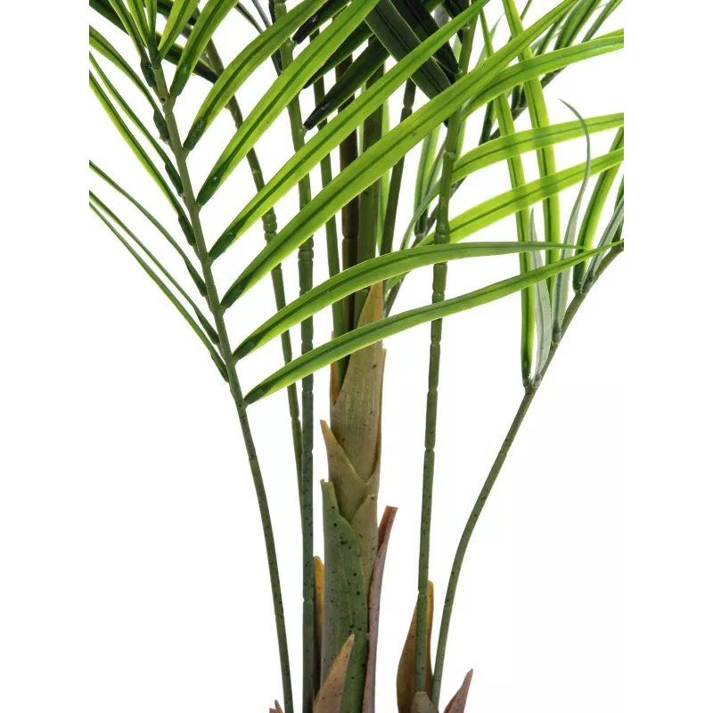 EUROPALMS didelio lapo Areca dirbtinis augalas, 165cm 82509441