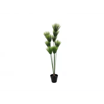 EUROPALMS dirbtinis papirusas, 150 cm, žalias, juodoje vazoje 82600223