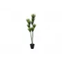 EUROPALMS dirbtinis papirusas, 150 cm, žalias, juodoje vazoje 82600223