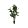EUROPALMS dirbtinis kaučiukmedis (Ficus elastica), 120cm 82600150