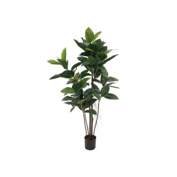 EUROPALMS dirbtinis kaučiukmedis (Ficus elastica), 120cm 82600150