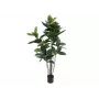 EUROPALMS dirbtinis kaučiukmedis (Ficus elastica), 120cm 82600150