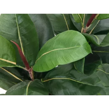 EUROPALMS dirbtinis kaučiukmedis (Ficus elastica), 120cm 82600150