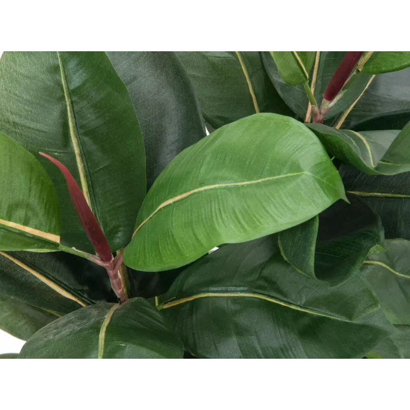 EUROPALMS dirbtinis kaučiukmedis (Ficus elastica), 120cm 82600150