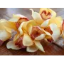 EUROPALMS Dirbtinė cymbidium šakelė, geltona, 90cm 82530314