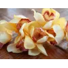 EUROPALMS Dirbtinė cymbidium šakelė, geltona, 90cm 82530314