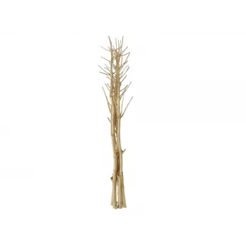 EUROPALMS džiovintų pankolių puokštė, auksinė, 160cm 83502363