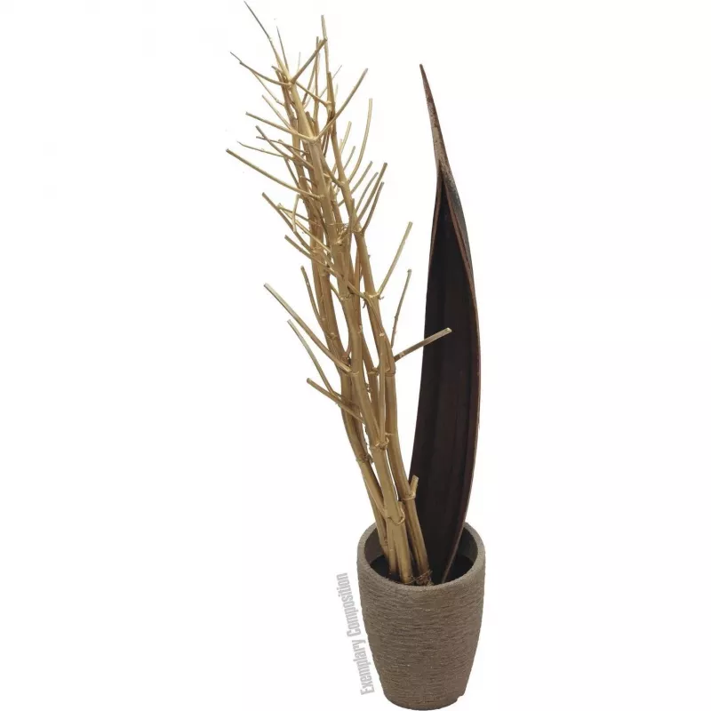 EUROPALMS džiovintų pankolių puokštė, auksinė, 160cm 83502363