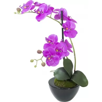 EUROPALMS dirbtinė orchidėjų kompozicija 4, baltos Phalaenopsis keraminėje vazoje, 60 cm 82530349
