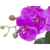 EUROPALMS dirbtinė orchidėjų kompozicija 4, baltos Phalaenopsis keraminėje vazoje, 60 cm 82530349