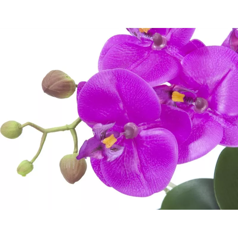 EUROPALMS dirbtinė orchidėjų kompozicija 4, baltos Phalaenopsis keraminėje vazoje, 60 cm 82530349