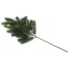 EUROPALMS kėnio šakelė, PE, 65cm 83500420
