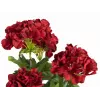 EUROPALMS Dirbtinė pelargonija, tamsiai raudona, 42 cm 82600112