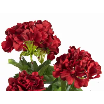 EUROPALMS Dirbtinė pelargonija, tamsiai raudona, 42 cm 82600112