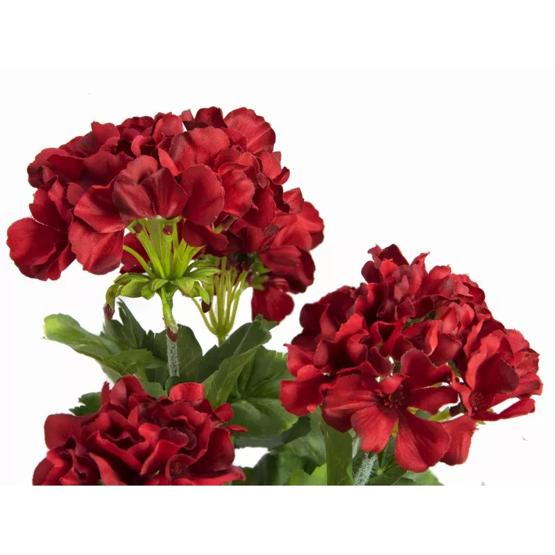 EUROPALMS Dirbtinė pelargonija, tamsiai raudona, 42 cm 82600112