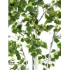 EUROPALMS dirbtinis beržas, 210 cm 82505232