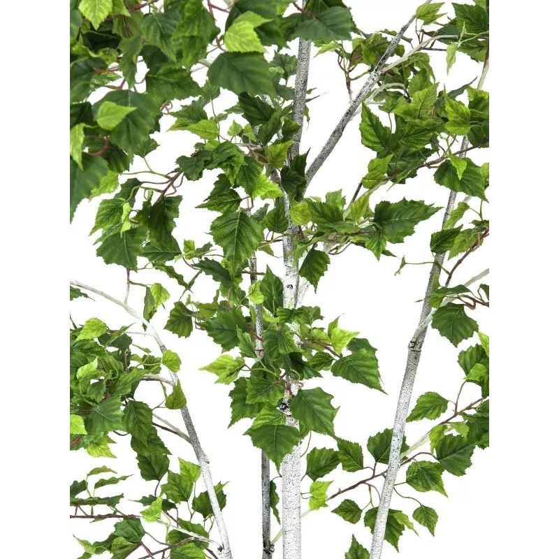 EUROPALMS dirbtinis beržas, 210 cm 82505232