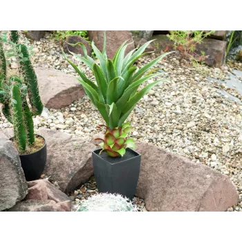 EUROPALMS Agave vazonėlyje, dirbtinis augalas, 75cm 82600160