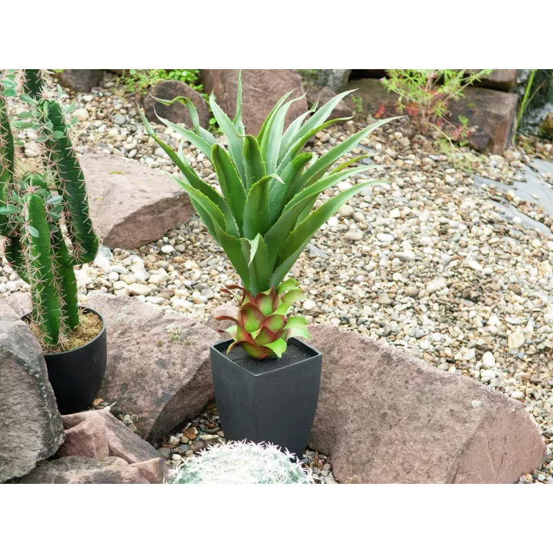 EUROPALMS Agave vazonėlyje, dirbtinis augalas, 75cm 82600160