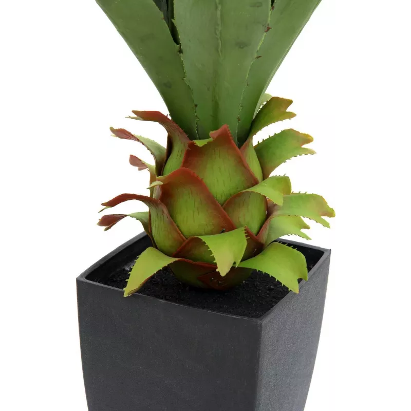 EUROPALMS Agave vazonėlyje, dirbtinis augalas, 75cm 82600160
