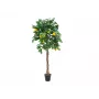 EUROPALMS Dirbtinis citrinmedis, 180cm 82507816