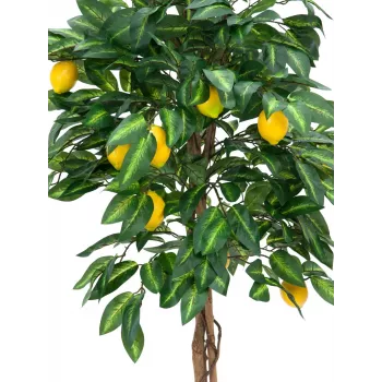 EUROPALMS Dirbtinis citrinmedis, 180cm 82507816