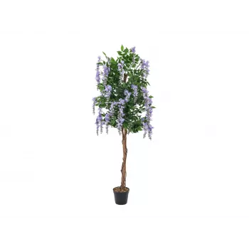 EUROPALMS dirbtinis auksalapis (Goldregenbaum), violetinis, 150 cm, 82507135
