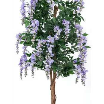 EUROPALMS dirbtinis auksalapis (Goldregenbaum), violetinis, 150 cm, 82507135