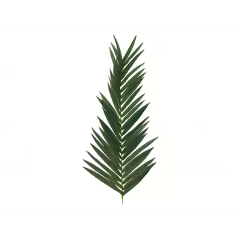 EUROPALMS dirbtinė kokoso karališkosios palmės lapas, 150 cm 82509845