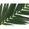 EUROPALMS dirbtinė kokoso karališkosios palmės lapas, 150 cm 82509845