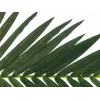 EUROPALMS dirbtinė kokoso karališkosios palmės lapas, 150 cm 82509845