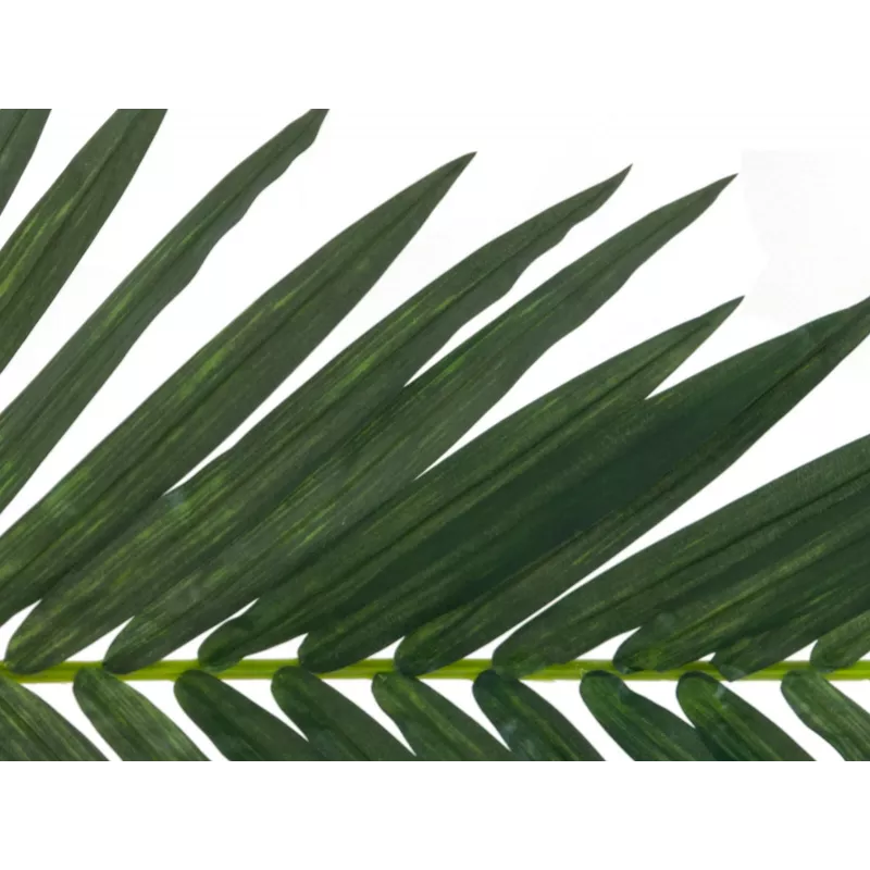 EUROPALMS dirbtinė kokoso karališkosios palmės lapas, 150 cm 82509845
