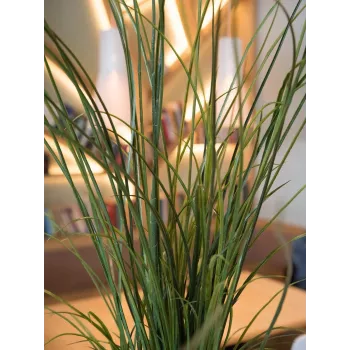 EUROPALMS dirbtinė nendrinė žolė, 145 cm, žalia/ruda, su vazonu 82600229