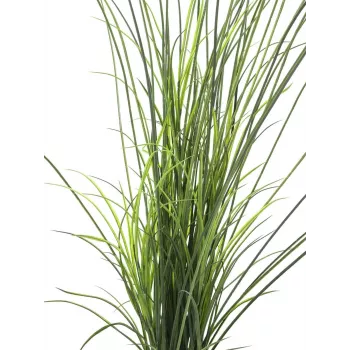 EUROPALMS dirbtinė nendrinė žolė, 145 cm, žalia/ruda, su vazonu 82600229