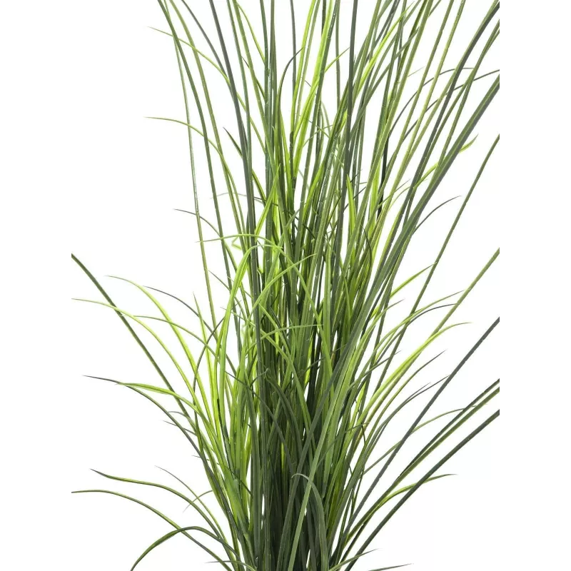 EUROPALMS dirbtinė nendrinė žolė, 145 cm, žalia/ruda, su vazonu 82600229