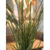 EUROPALMS dirbtinė nendrinė žolė, 145 cm, žalia/ruda, su vazonu 82600229