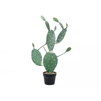 EUROPALMS Leaf Cactus dirbtinis augalas, 76 cm, vazonuotas, žalias 82600064