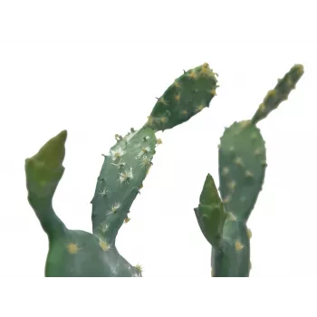 EUROPALMS Leaf Cactus dirbtinis augalas, 76 cm, vazonuotas, žalias 82600064