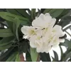 EUROPALMS Oleander Tree dirbtinis augalas, baltas, 120 cm (82507246)